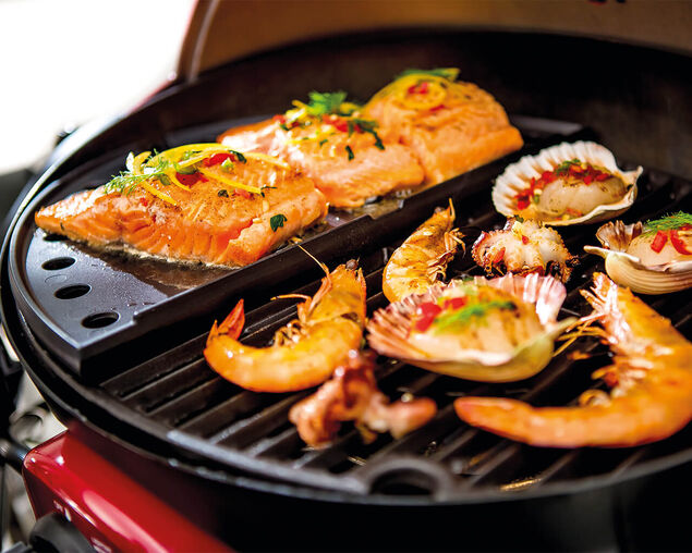 Ziegler & Brown Single Burner Portable Grill Cast Iron Half Hotplate, , hi-res
