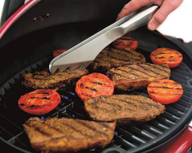 Ziggy Classic 1 Burner Portable Grill LPG BBQ, , hi-res