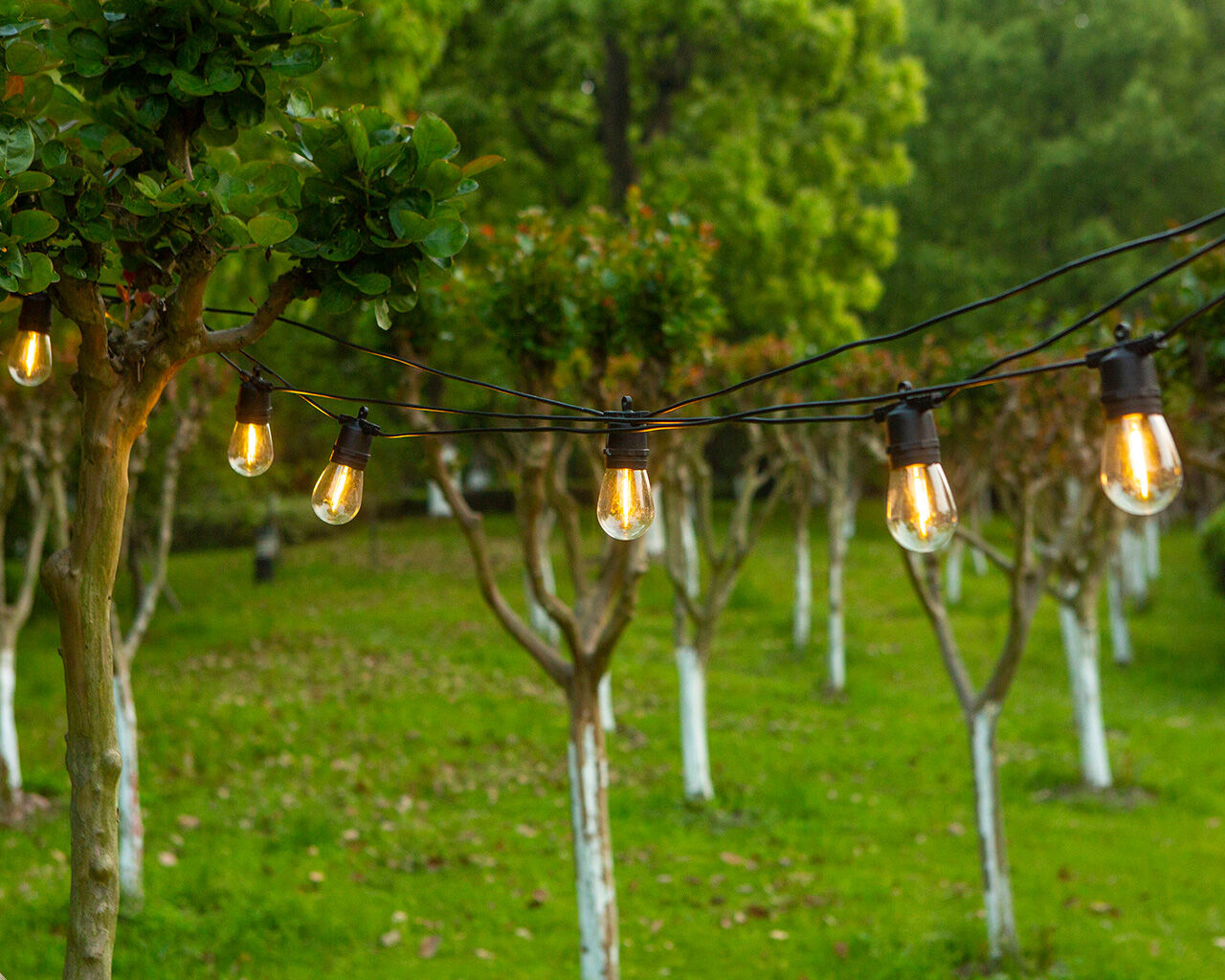 LumiFX 20m Wi Fi Smart Festoon Lights