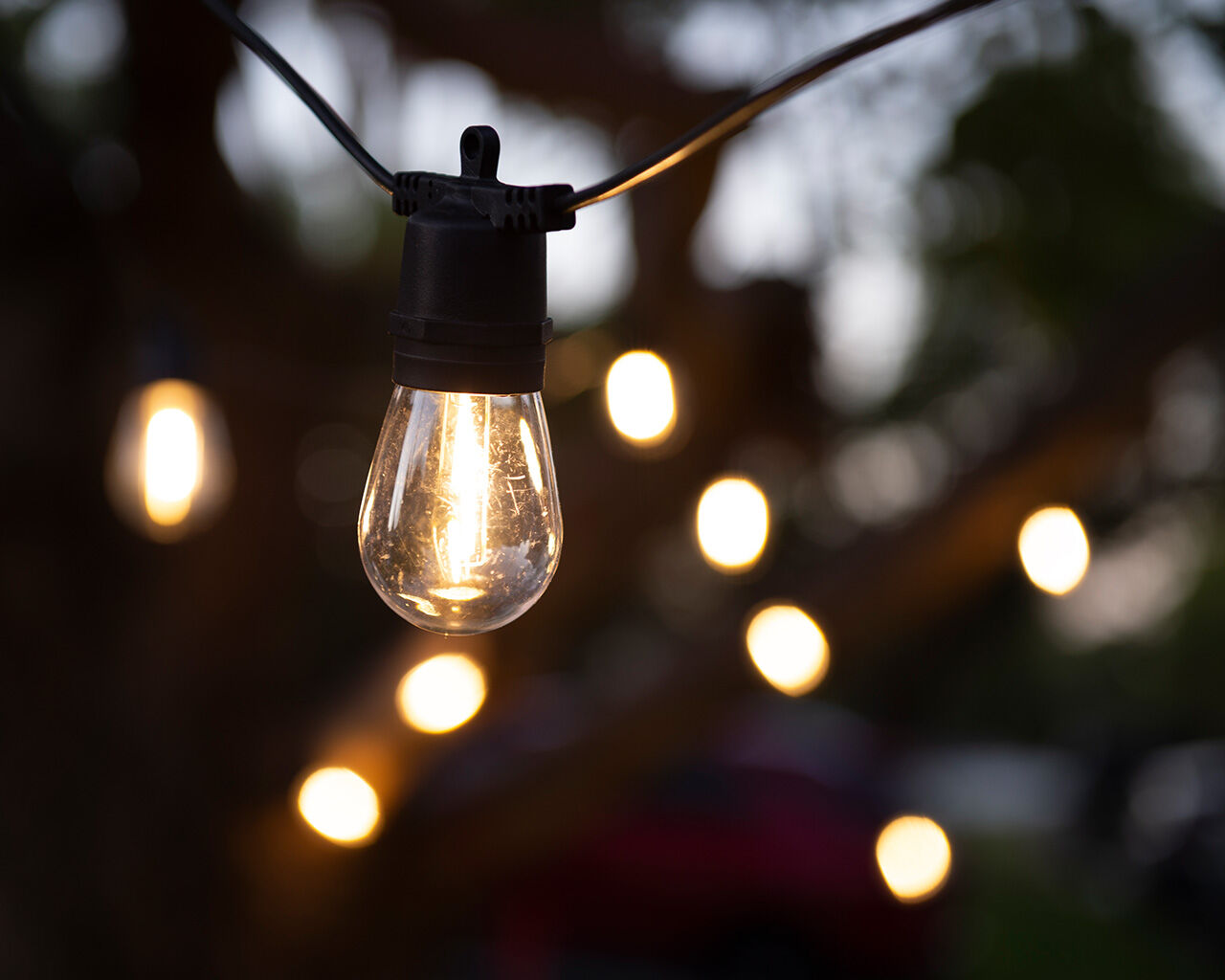 Festoon lights best sale 20m