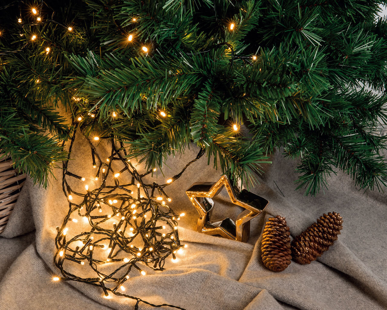 Warm white deals string christmas lights
