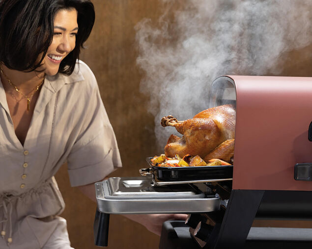 Ninja Woodfire Outdoor Oven, , hi-res