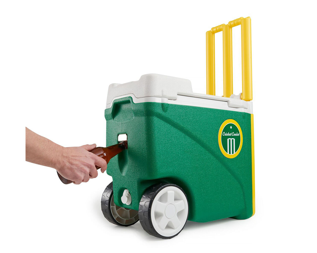 Cricket cooler store box