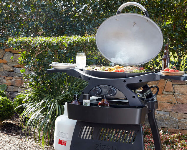 Ziggy Classic Twin Grill LPG BBQ Plus Cart Bundle - Gunmetal Grey, Gunmetal Grey, hi-res
