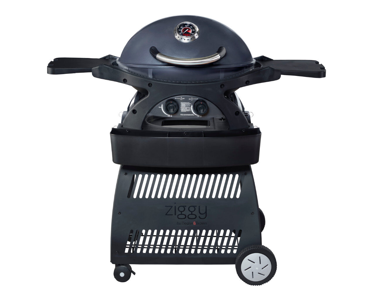 bbq hot plates bunnings