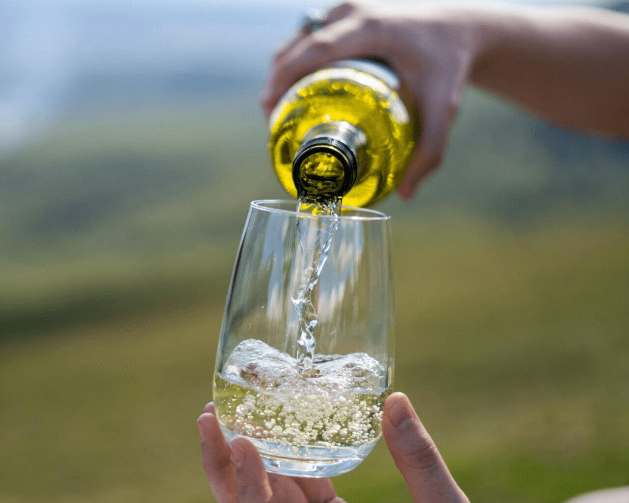 Buy D Still Unbreakable Polycarbonate Stemless Wine Glass 480ml 4 Pack at Barbeques Galore
