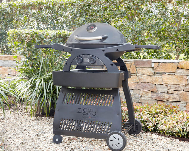 Ziggy Classic Twin Grill LPG BBQ Plus Cart Bundle - Gunmetal Grey, Gunmetal Grey, hi-res