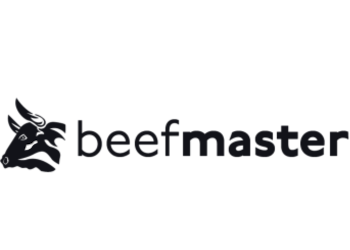 Beefmaster