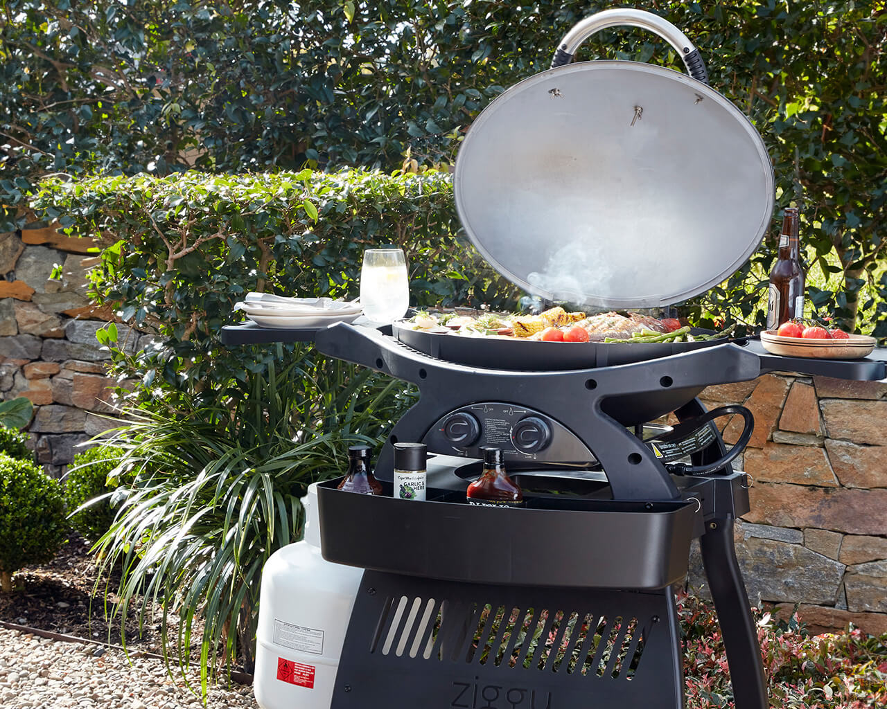 Ziggy Classic Twin Grill LPG BBQ on Cart (Gunmetal Grey), Gunmetal Grey, hi-res image number null