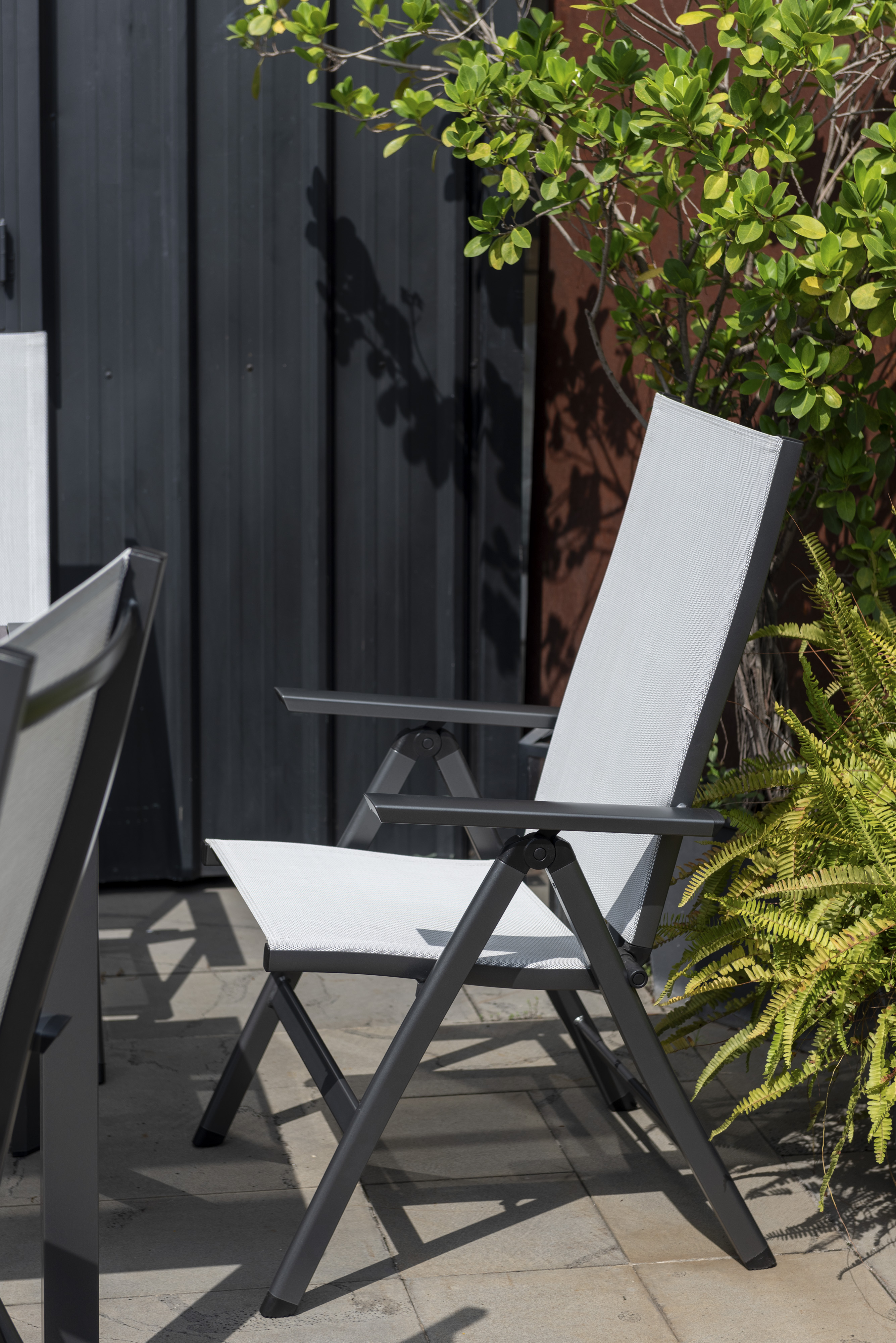 Frankie-Eden 7 Piece Dining Setting, , hi-res image number null